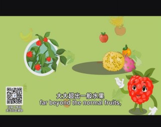 武進(jìn)新聞