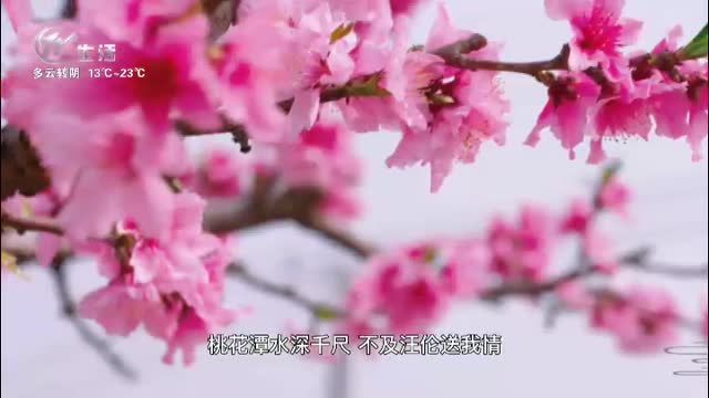 武進(jìn)新聞