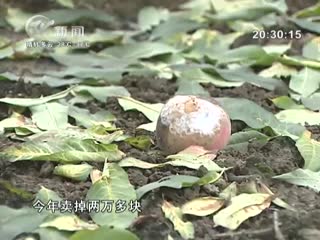 武進(jìn)新聞