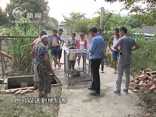 武進(jìn)新聞