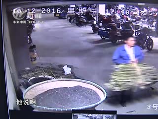 武進新聞
