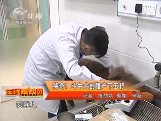 武進新聞