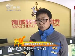 武進新聞