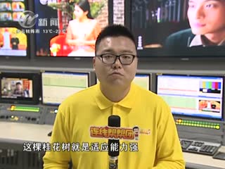 武進(jìn)新聞