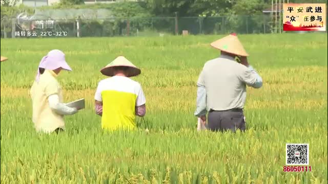 武進新聞