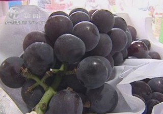 武進(jìn)新聞