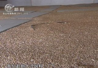 武進(jìn)新聞