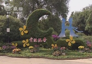 武進新聞