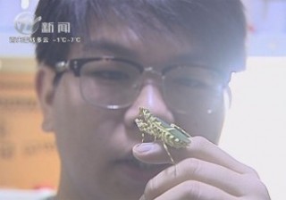武進新聞