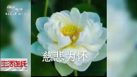 武進(jìn)新聞