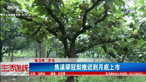 武進新聞