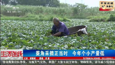 武進新聞