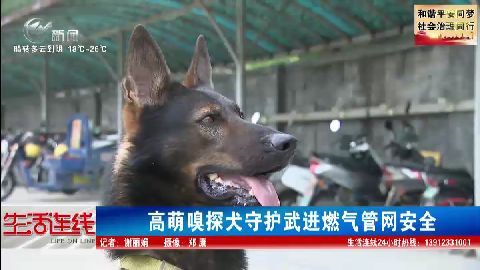 武進新聞