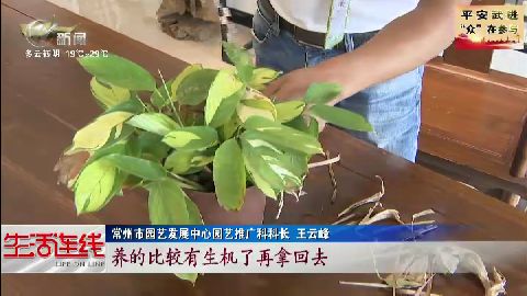 武進(jìn)新聞