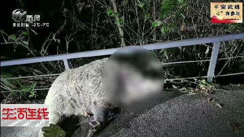 武進新聞