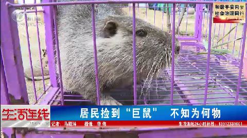 武進新聞