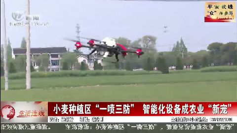 武進新聞