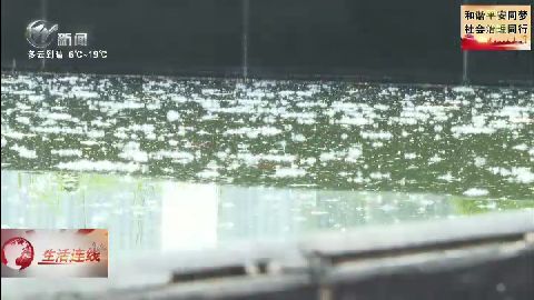 武進新聞