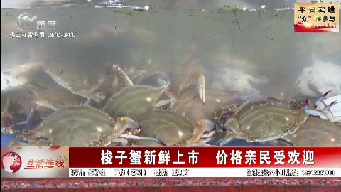 武進新聞