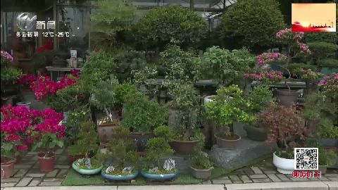 武進(jìn)新聞