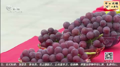 武進新聞