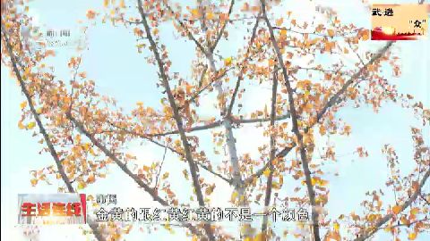 武進新聞