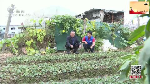 武進(jìn)新聞