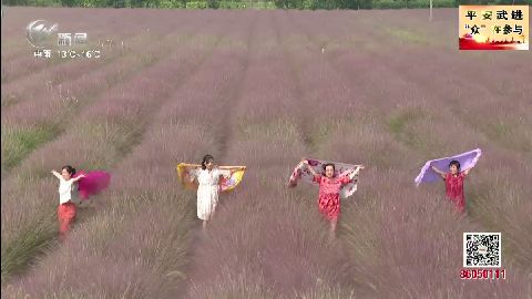 武進新聞