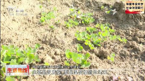 武進(jìn)新聞