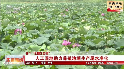 武進新聞