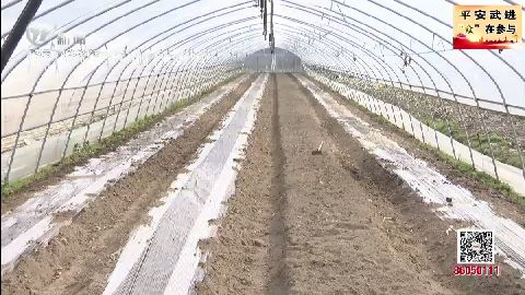 武進新聞