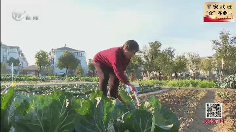 武進新聞