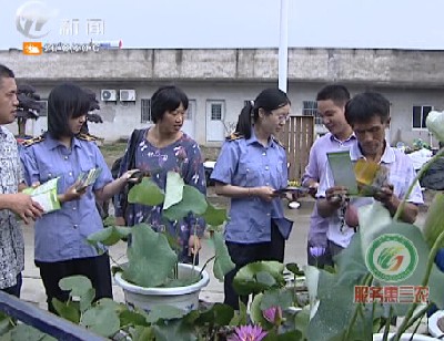 武進新聞