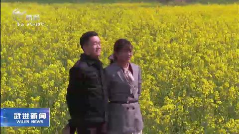 武進新聞