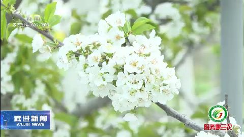 武進新聞