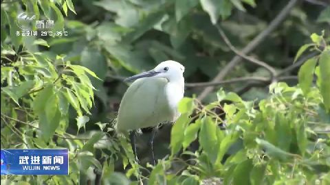 武進新聞