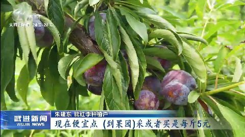 武進(jìn)新聞