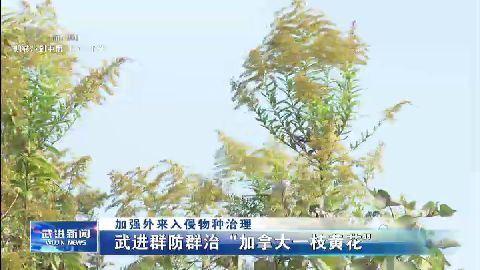 武進新聞