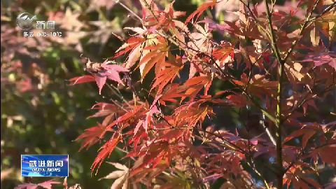武進新聞