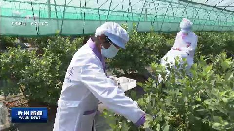武進新聞