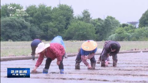 武進新聞