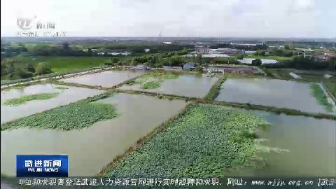 武進新聞