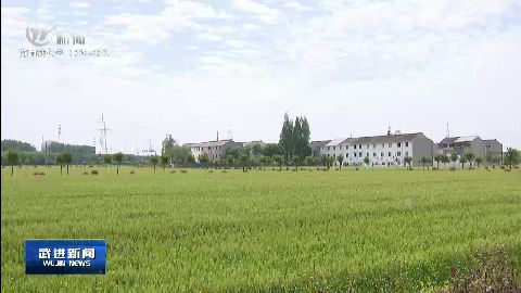 武進新聞