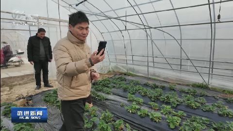 武進新聞