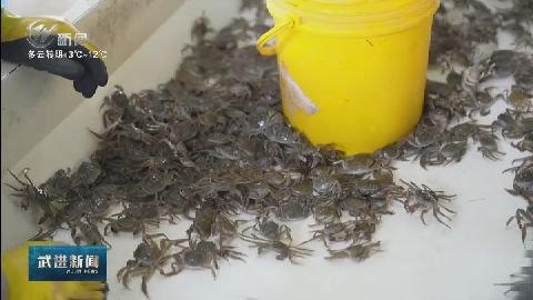 武進(jìn)新聞