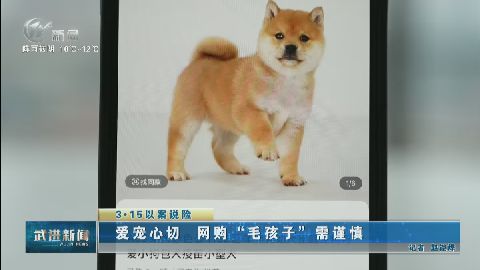 武進(jìn)新聞