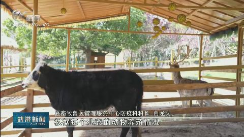 武進(jìn)新聞