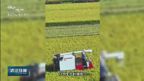 武進新聞