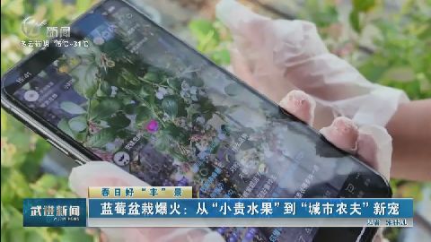 武進(jìn)新聞