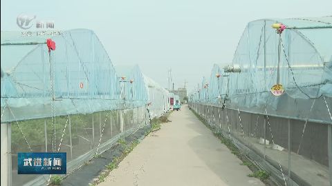 武進新聞